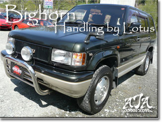 JDM Isuzu Bighorn (similar to Trooper) - Low km - Mint condition